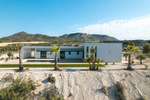 Villa pārdošanā Pinoso, Alicante, Spānijā 3 istabas, 178 m2 Nr. 149753 - attēls 3