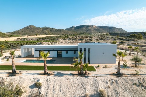 Villa pārdošanā Pinoso, Alicante, Spānijā 3 istabas, 178 m2 Nr. 149753 - attēls 4