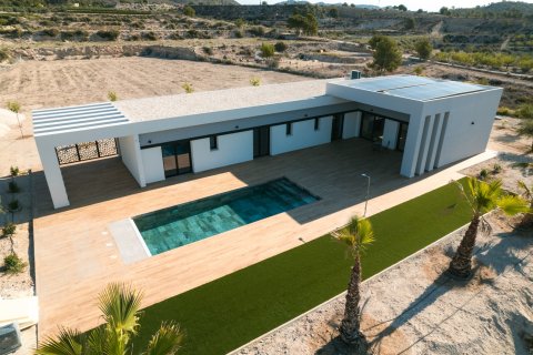 Villa en venta en Pinoso, Alicante, España 3 dormitorios, 178 m2 No. 149753 - foto 5
