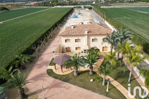 Talo Aspe, Alicante, Espanja 5 makuuhuonetta, 583 m2 No. 153123