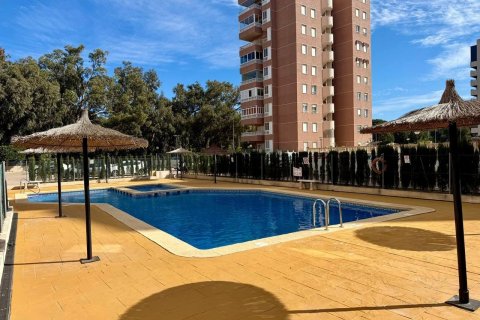 Продажа квартиры в Гуардамар-дель-Сегура, Аликанте, Испания 3 спальни, 79м2 №191630 - фото 2