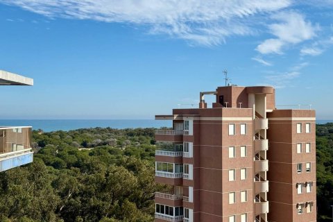 Продажа квартиры в Гуардамар-дель-Сегура, Аликанте, Испания 3 спальни, 79м2 №191630 - фото 17