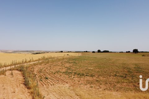 Продажа коммерческой недвижимости в Альбасете, Испания №153322 - фото 30