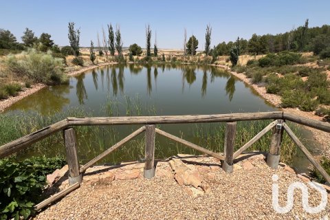 Продажа коммерческой недвижимости в Альбасете, Испания №153322 - фото 27