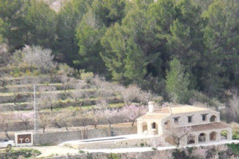 Продажа финки в Тарбена, Аликанте, Испания 3 спальни, 129м2 №146438 - фото 11