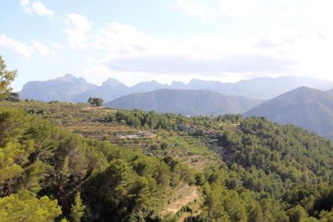 Продажа финки в Тарбена, Аликанте, Испания 3 спальни, 129м2 №146438 - фото 16