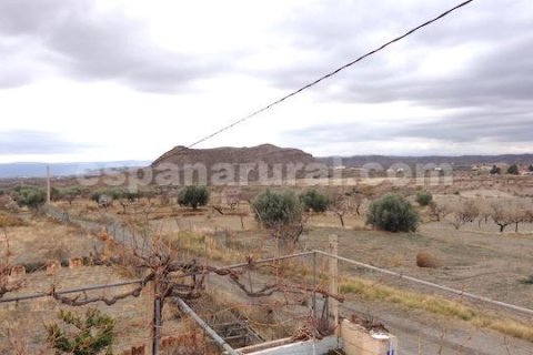 House zum Verkauf in Huercal-Overa, Almeria, Spanien 4 Schlafzimmer, 250 m2 Nr. 184070 - Foto 12