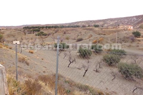 House zum Verkauf in Huercal-Overa, Almeria, Spanien 4 Schlafzimmer, 250 m2 Nr. 184070 - Foto 11