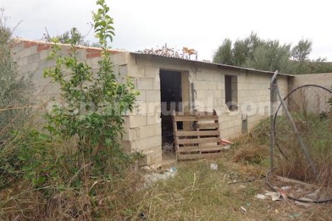 Продажа дома в Суфли, Альмерия, Испания 4 спальни, 110м2 №184075 - фото 6