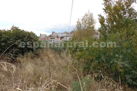 Продажа дома в Суфли, Альмерия, Испания 4 спальни, 110м2 №184075 - фото 11