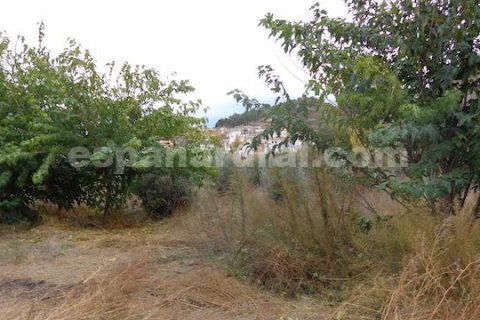 Продажа дома в Суфли, Альмерия, Испания 4 спальни, 110м2 №184075 - фото 9