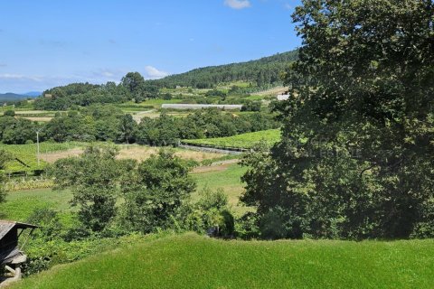 Talo myytävänä Meis, Pontevedra, Espanja, 5 makuuhuonetta, 400 m2 No. 160042 - kuva 3