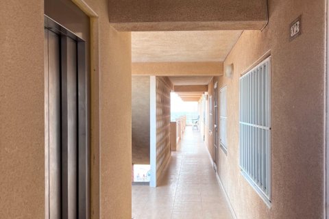 Dzīvoklis pārdošanā Torrevieja, Alicante, Spānijā 3 istabas, 86 m2 Nr. 139320 - attēls 11
