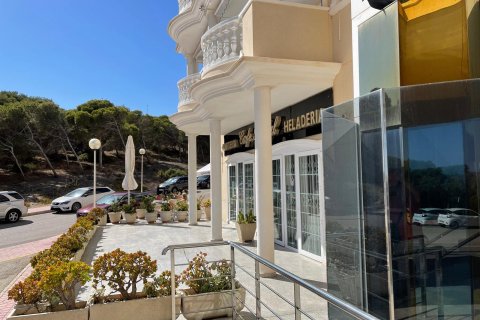 Propiedad comercial en venta Guardamar del Segura, Alicante, España 1 dormitorio, 213 m2 No. 139318 - foto 3