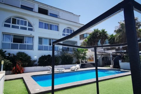 Villa till salu Benidorm, Alicante, Spanien 8 sovrum, 800 kvm. Nr. 139423 - foto 29