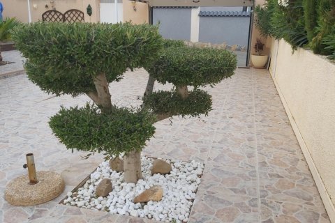 Villa till salu Benijofar, Alicante, Spanien 2 sovrum, 118 kvm. Nr. 137920 - foto 23