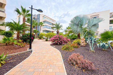 Apartament w Los Dolses, Alicante, Hiszpania 2 sypialnie, 93 mkw. nr 165712 – zdjęcie 7