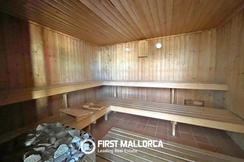 Apartament w Santa Ponsa, Mallorca, Hiszpania 2 sypialnie, 128 mkw. nr 167693 – zdjęcie 13