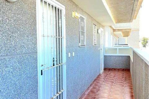 Продажа квартиры в Торревьеха, Аликанте, Испания 2 спальни, 56м2 №182965 - фото 14