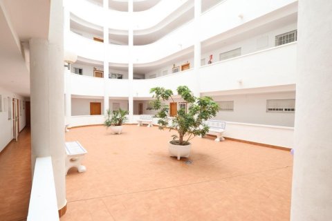 Huoneisto myytävänä Torrevieja, Alicante, Espanja, 2 makuuhuonetta, 65 m2 No. 196059 - kuva 12