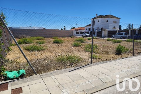 Land plot in Ecija, Seville, Spain 567 sq.m. No. 185929