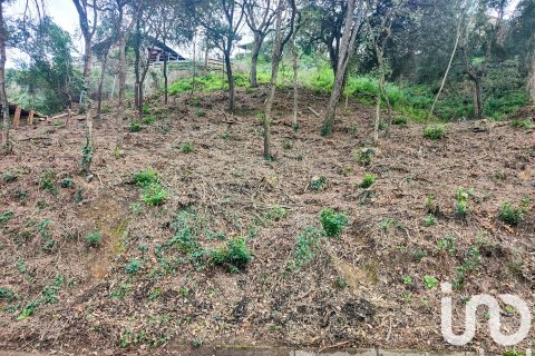 Terreno a Vallgorguina, Barcelona, Spagna 852 mq. N° 185932
