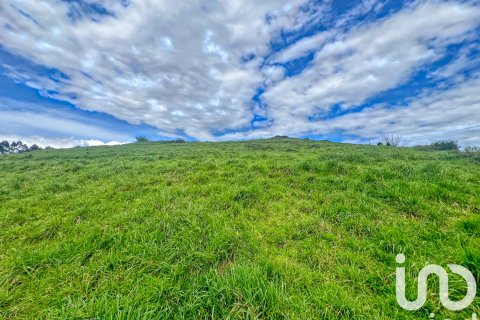 Продажа земельного участка в Астурия, Испания 7459м2 №185933 - фото 10