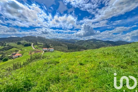 Продажа земельного участка в Астурия, Испания 7459м2 №185933 - фото 19