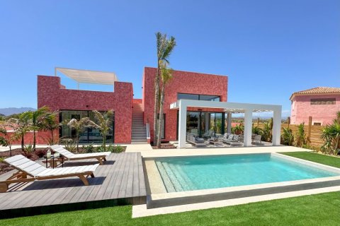Villa à vendre à Cuevas del Almanzora, Almeria, Espagne, 4 chambres, 171 m2 No. 175041 - photo 2