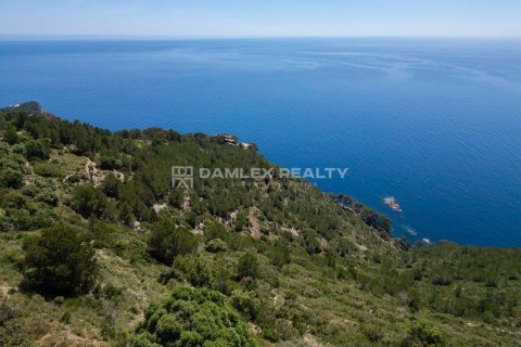 Terreno in vendita a Begur, Girona, Spagna 60712 mq. N° 176733 - foto 3