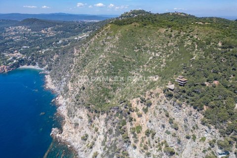 Terreno in vendita a Begur, Girona, Spagna 60712 mq. N° 176733 - foto 7