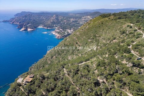 Terreno in vendita a Begur, Girona, Spagna 60712 mq. N° 176733 - foto 4