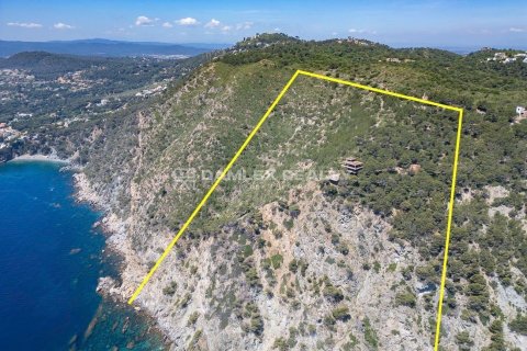 Tontti Begur, Girona, Espanja 60712 m2 No. 176733
