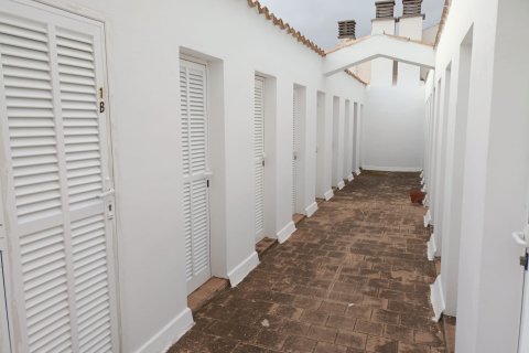 Apartment à louer Port De Pollenca, Mallorca, Espagne, 1 chambre, 55 m2 No. 111798 - photo 10