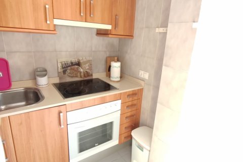 Apartment à louer Port De Pollenca, Mallorca, Espagne, 1 chambre, 55 m2 No. 111798 - photo 4