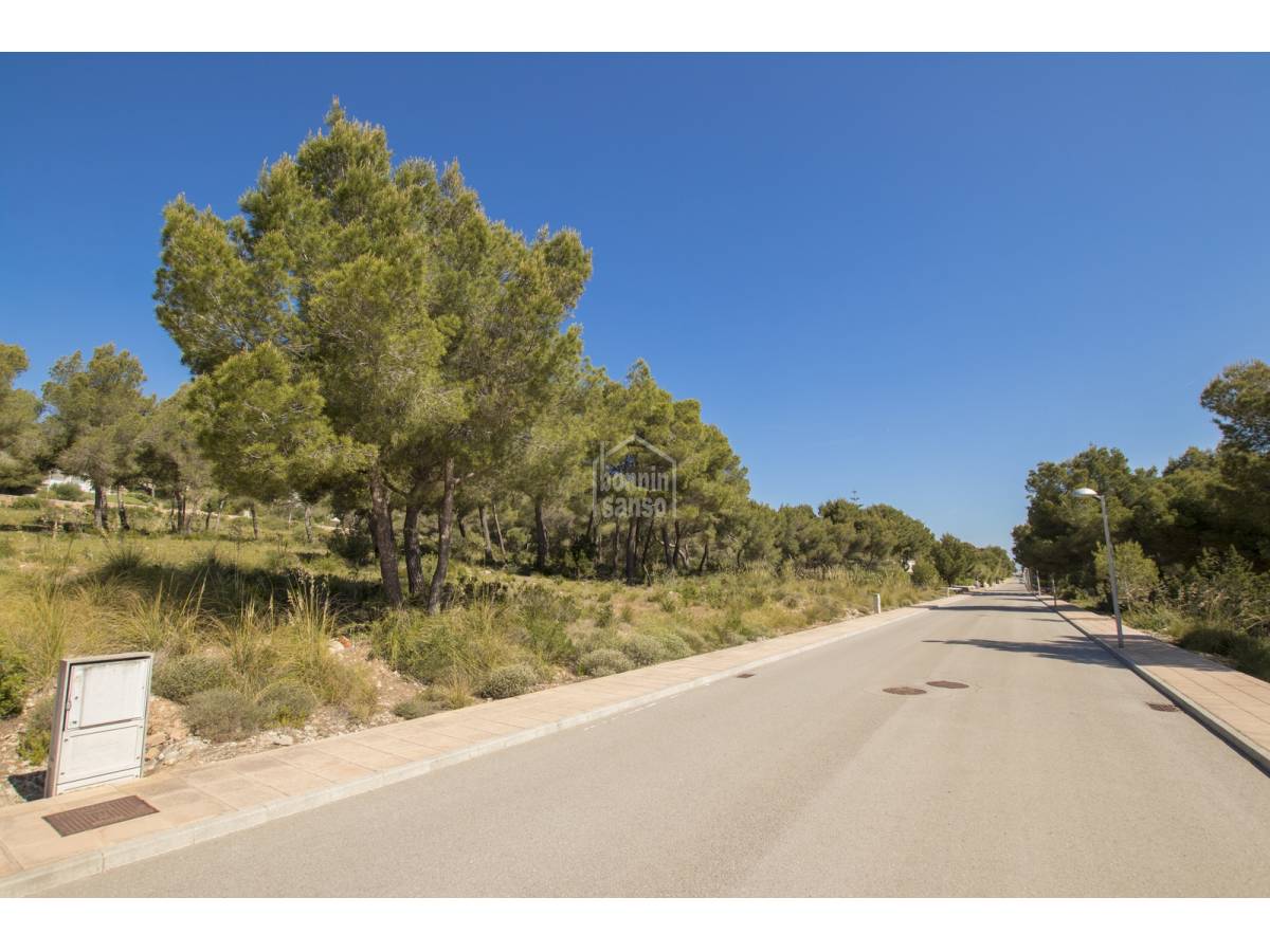 Land plot à Es Mercadal, Menorca, Espagne No. 65496