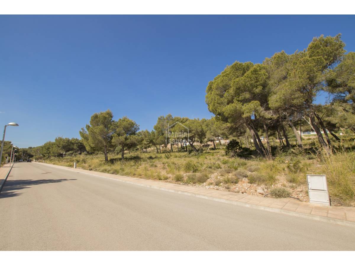 Land plot à Es Mercadal, Menorca, Espagne No. 65496