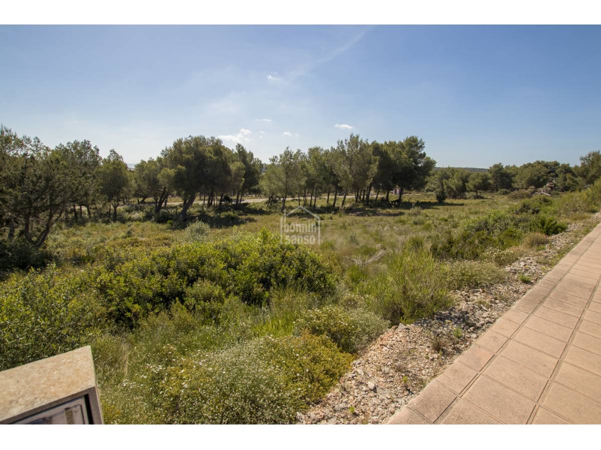 Działka w Es Mercadal, Menorca, Hiszpania nr 65495