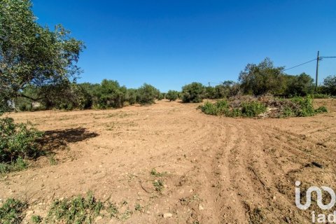 Продажа дома в Санта-Олива, Таррагона, Испания 5 спален, 299м2 №153387 - фото 7