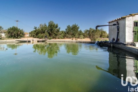 Продажа дома в Санта-Олива, Таррагона, Испания 5 спален, 299м2 №153387 - фото 9