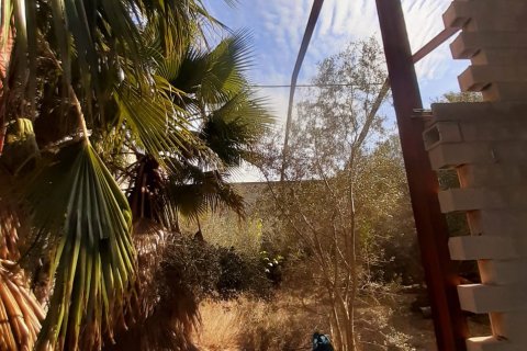 Tontti myytävänä Deltebre, Tarragona, Espanja , 1277 m2 No. 153391 - kuva 17