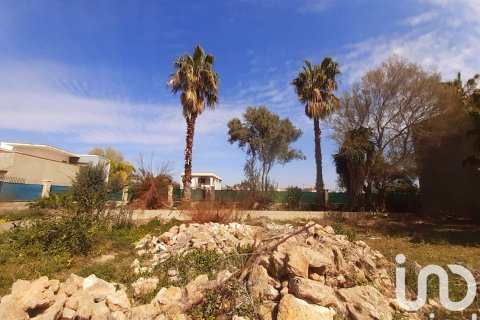 Tontti myytävänä Deltebre, Tarragona, Espanja , 1277 m2 No. 153391 - kuva 14