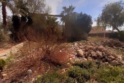 Tontti myytävänä Deltebre, Tarragona, Espanja , 1277 m2 No. 153391 - kuva 19