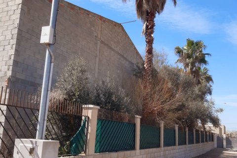 Tontti myytävänä Deltebre, Tarragona, Espanja , 1277 m2 No. 153391 - kuva 5