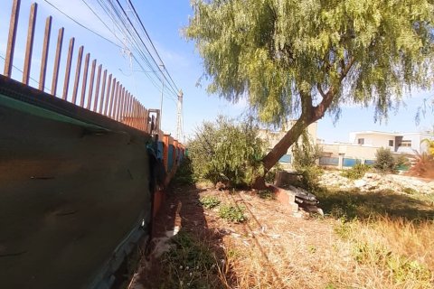 Tontti myytävänä Deltebre, Tarragona, Espanja , 1277 m2 No. 153391 - kuva 20