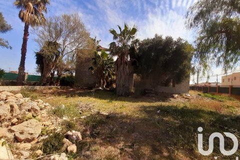 Tontti myytävänä Deltebre, Tarragona, Espanja , 1277 m2 No. 153391 - kuva 21