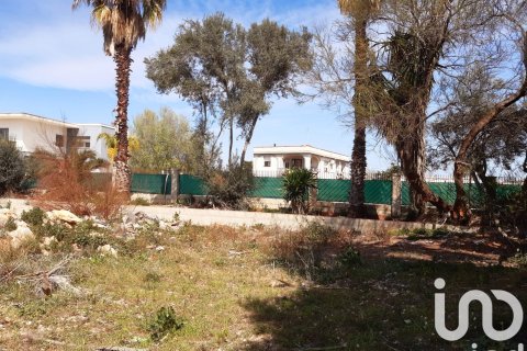 Tontti myytävänä Deltebre, Tarragona, Espanja , 1277 m2 No. 153391 - kuva 12