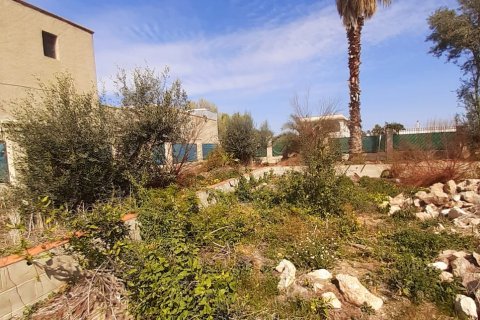 Tontti myytävänä Deltebre, Tarragona, Espanja , 1277 m2 No. 153391 - kuva 16