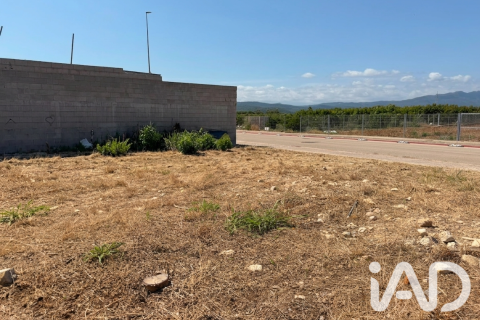 Zemes gabals pārdošanā Daimus, Valencia, Spānijā 1174 m2 Nr. 188007 - attēls 22