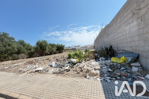 Zemes gabals pārdošanā Daimus, Valencia, Spānijā 1174 m2 Nr. 188007 - attēls 5